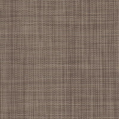 Screen Star 5% Charcoal