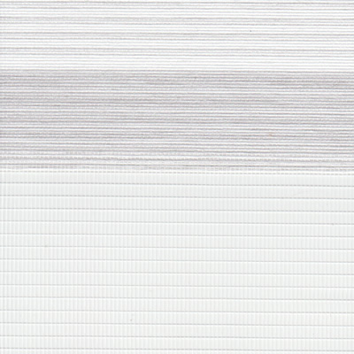 Dual-Roll Terni Silver